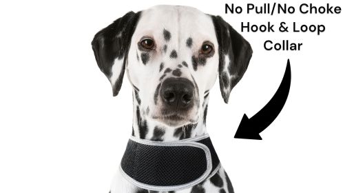 GPS GSM GPRS Realtime Tracker Real-time Pet Tracking Quadband Device Size:XL